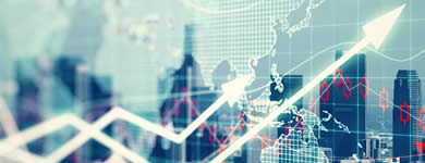 Economics and Global Business