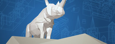 Rhinoceros Base